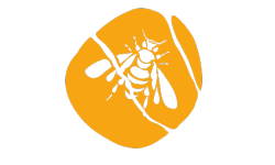 13.png